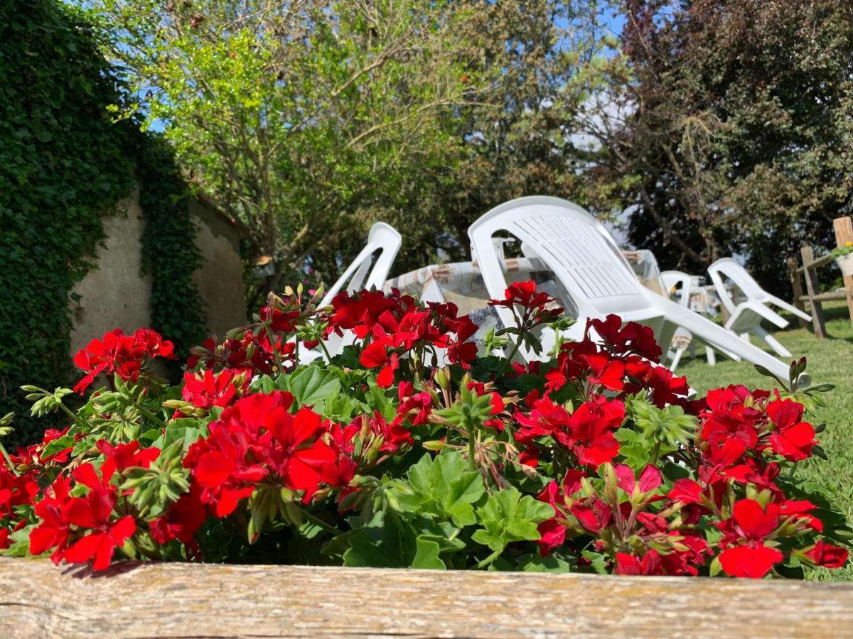 Guest house La Nana Gialla Riotorto